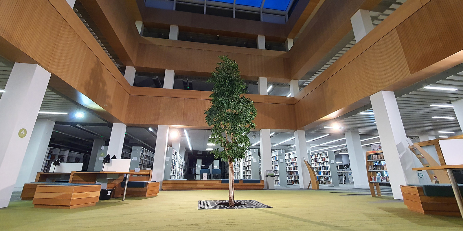 51 library foyer with the living tree in the centre.